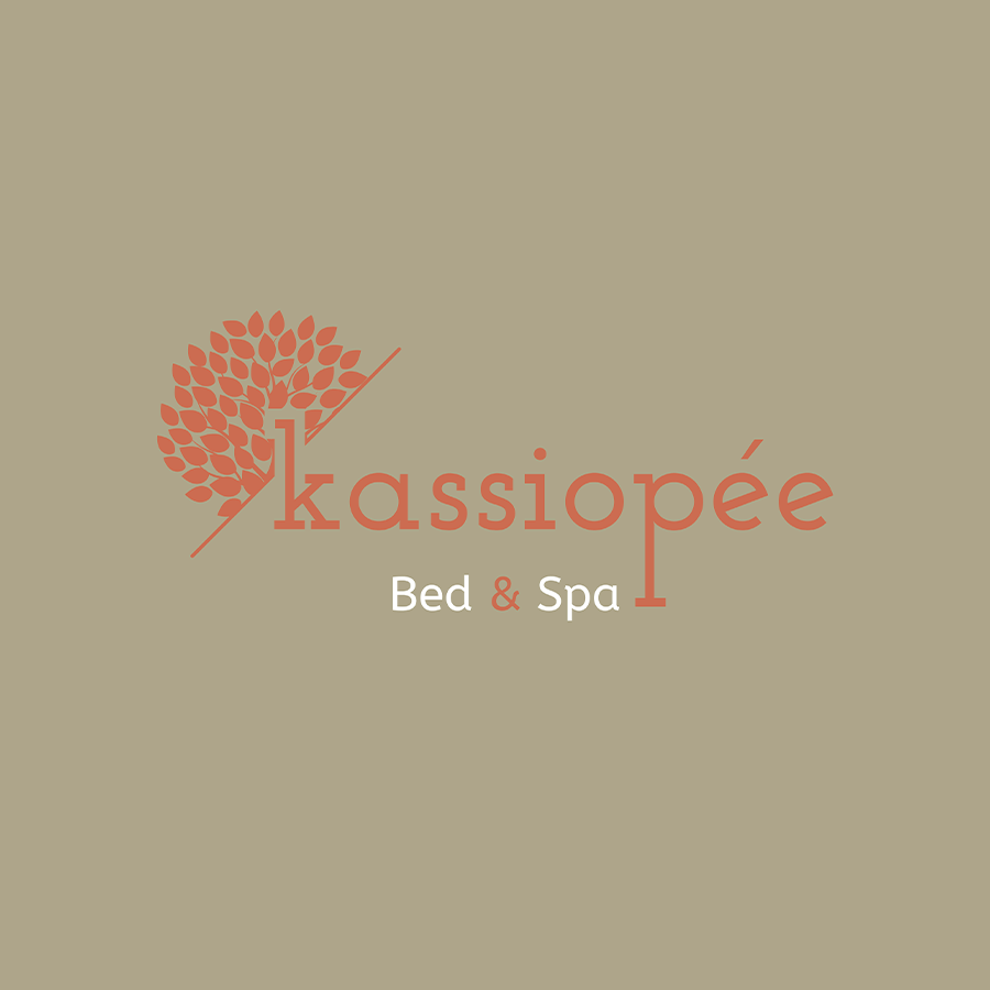 Logo - Kassiopee