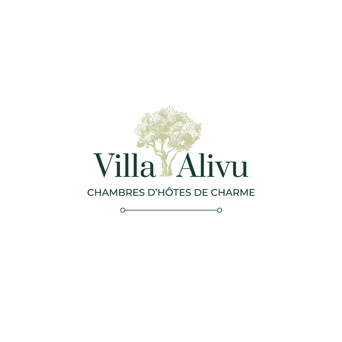 Création de logo - Villa Alivu